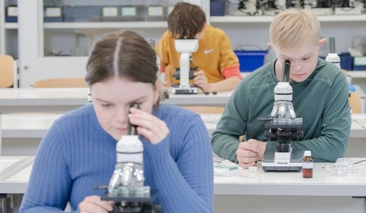 Kinder arbeiten im Unterricht mit Mikroskopen